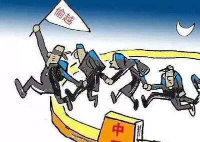 跨国犯罪组织
