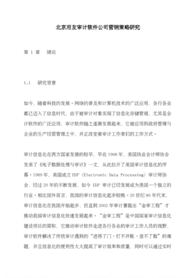 系统软件营销策略研究现状