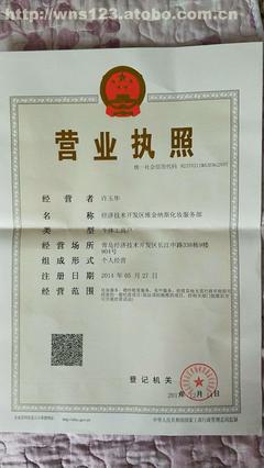 公司法人营业执照
