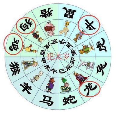 属相相和