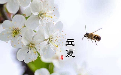 带夏字的小名