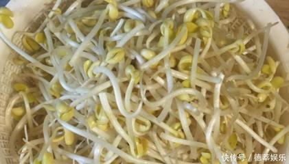 怀孕了可以吃豆芽吗