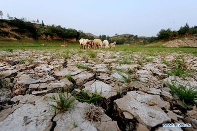 Drought读音