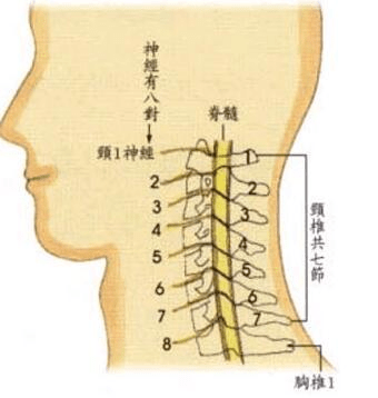 颈椎突出怎么治疗效果好