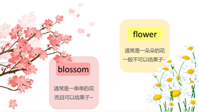 Enhypen blossom歌词中文翻译