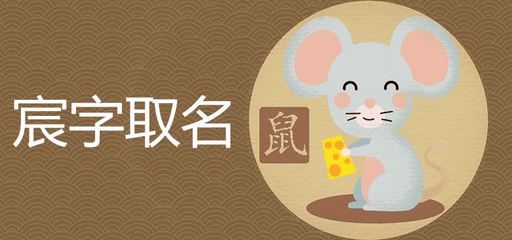 鼠 起名