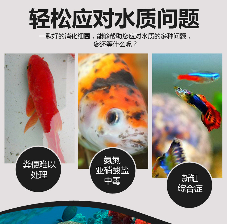 大型魚(yú)缸哪個(gè)牌子質(zhì)量好（大型魚(yú)缸哪個(gè)牌子質(zhì)量好耐用）