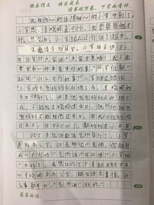 快乐的读书的作文450字作文怎么写