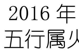 2016年是什么命