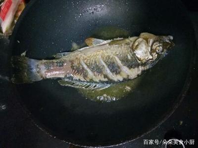 鱼肉发红是怎么回事
