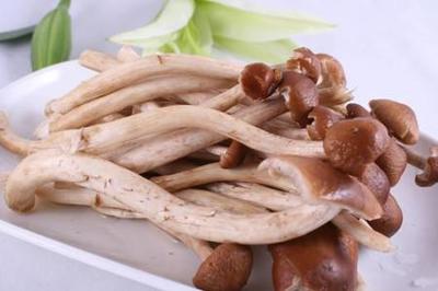 怀孕茶树菇可以吃吗