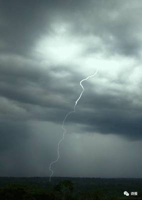 【诗报】 立秋交响||刘强