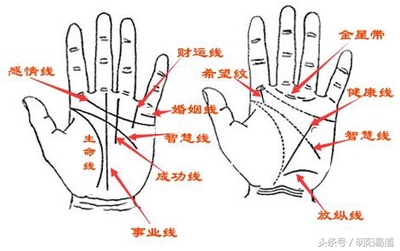 婚姻线有痣