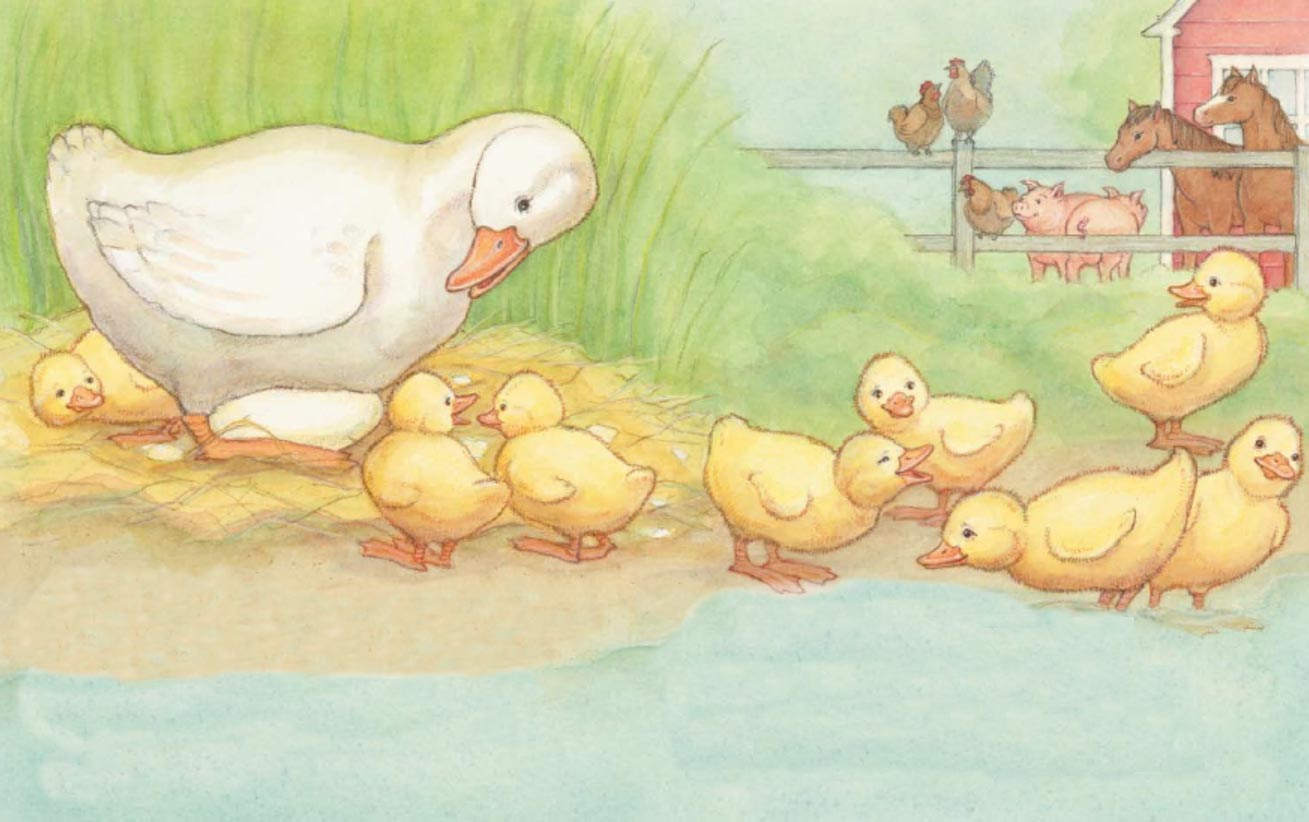 ducklings什么意思英语