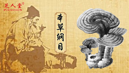 孕妇可以吃孢子粉吗