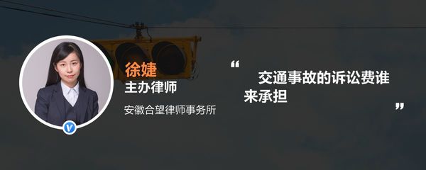 交通事故诉讼费由谁承担