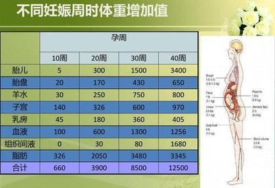 怀孕30周体重增加多少正常