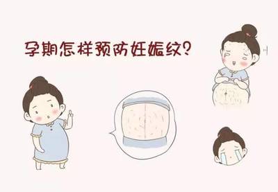 怀孕了怎么看出来
