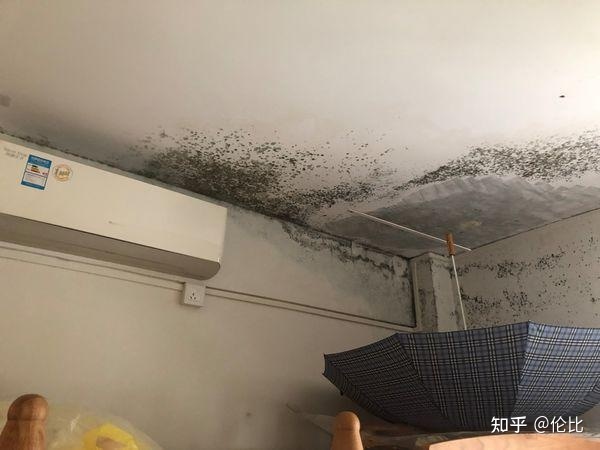 房屋防水保修期