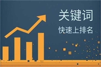 星际网络(图)-网络推广价格-山东新泰网络推广