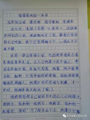 我喜欢一本书怎么写作文