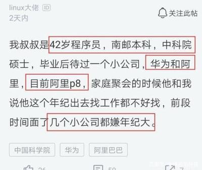 程序员要求年龄