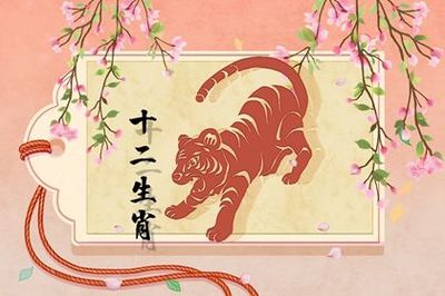 属鼠女和属虎男相配吗