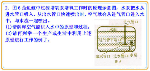 10厘米的魚(yú)缸可以養(yǎng)斗魚(yú)嗎（10厘米的魚(yú)缸可以養(yǎng)斗魚(yú)嗎視頻） 魚(yú)缸百科