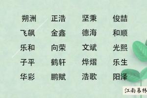 男孩姓高取名大气名字