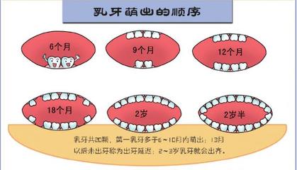 新生儿出牙顺序