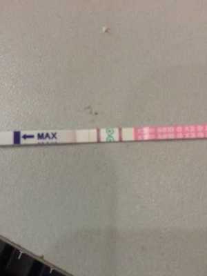 未怀孕试纸图片真实