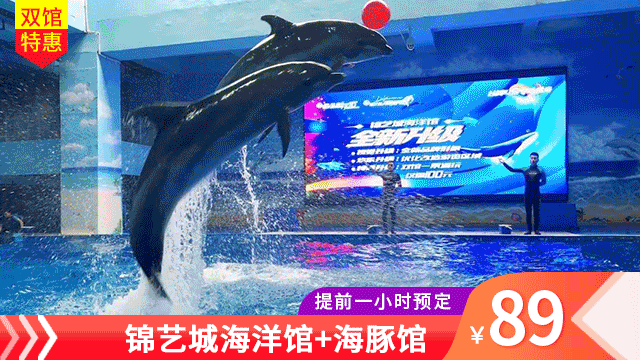 海豚家的东西是正品吗
