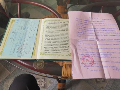 墓地合同
