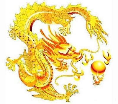 属龙的命