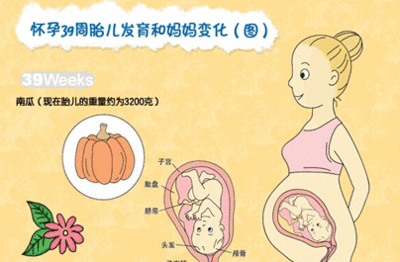 怀孕初期有什么注意事项