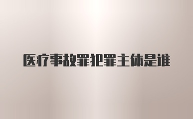 医疗事故罪的主体