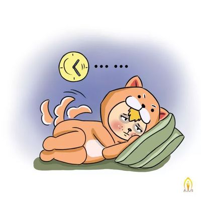 危险的生肖