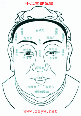 头角峥嵘面相