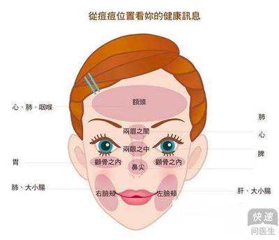 痘痘反射区