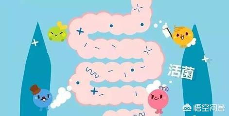 月子里的宝宝能吃益生菌吗