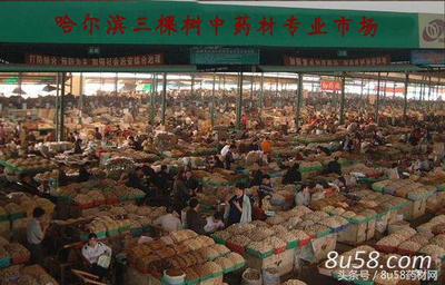 国内医药电商平台打造药品拼购采购模式