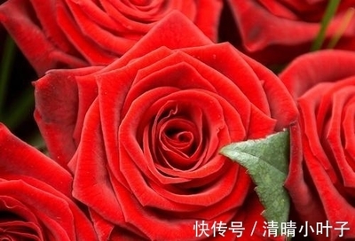 属虎和属羊的合不合财