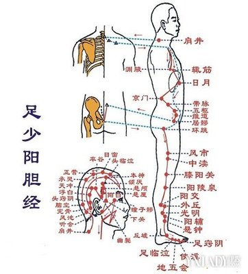 减肥的穴位有哪些
