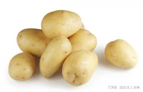 土豆痛风可以吃吗