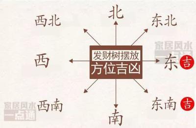 进字五行属什么