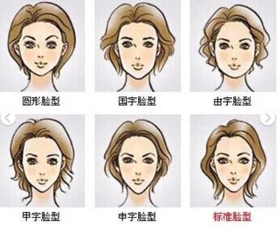修饰脸型