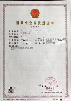 公司法人需要什么条件