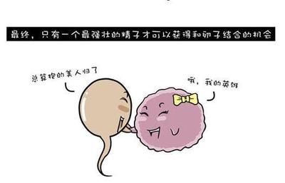 对精子过敏影响怀孕吗