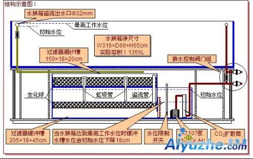 本溪市二手魚缸交易市場在哪兒呀