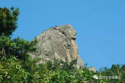 兰山公园图片